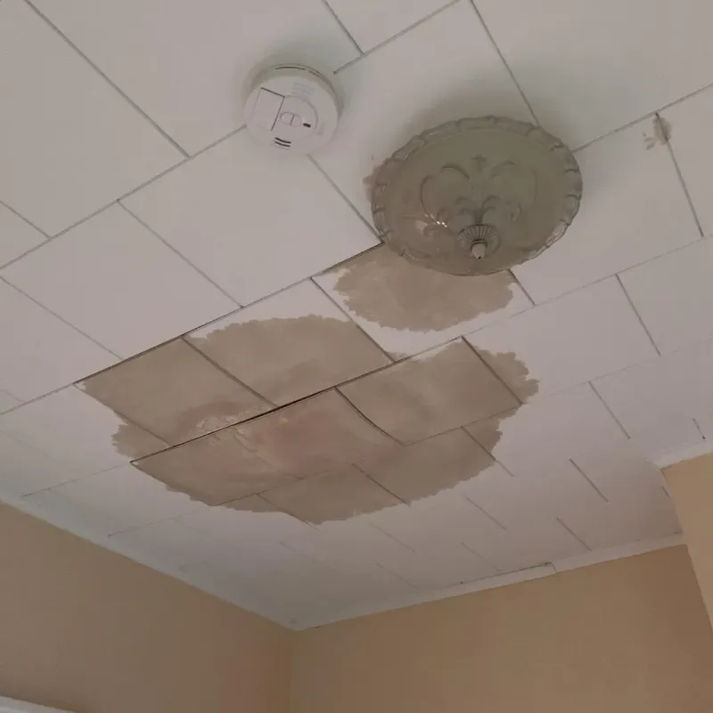 Ceiling Water Damage Repair in Middleborough, MA