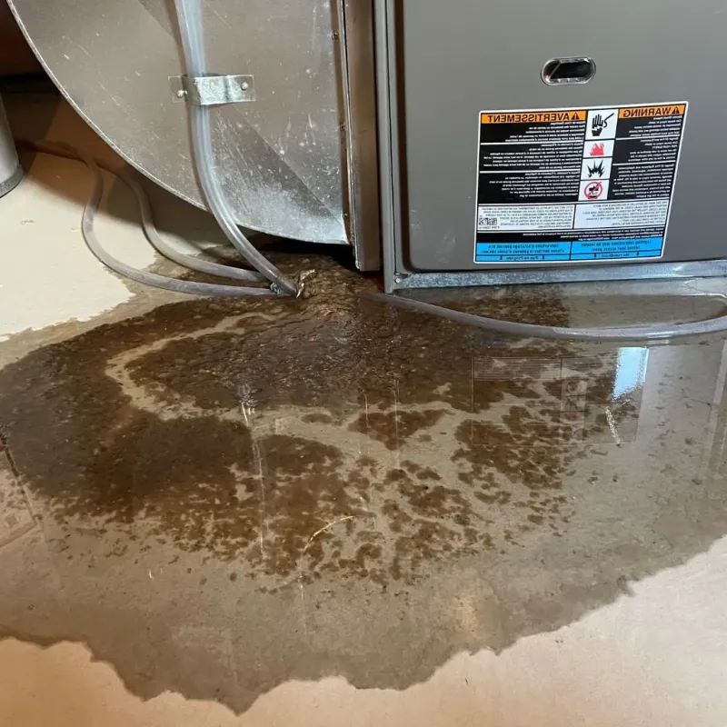 Pipe Burst and Leak Restoration in Middleborough, MA