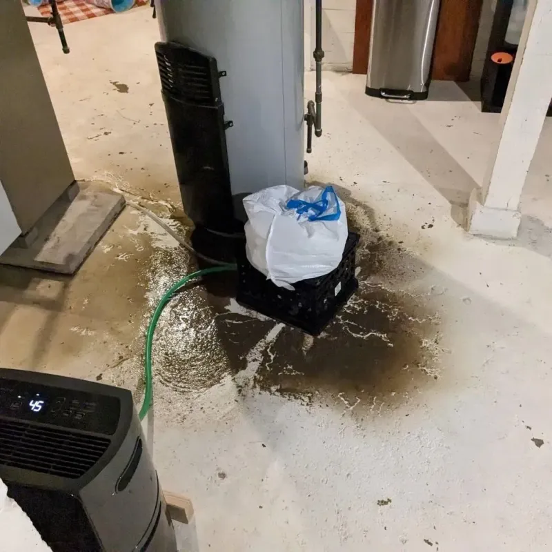 Sewage Backup Cleanup Service in Middleborough, MA